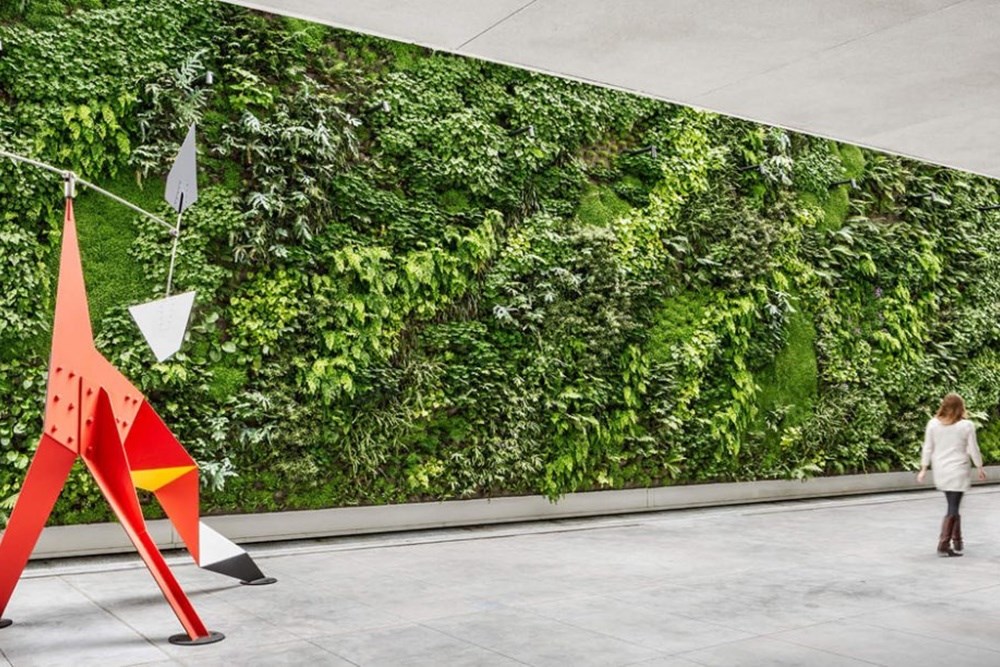 Yeşil Duvarlar: Teknoloji Doğayı Mimariye Nasıl Getiriyor?