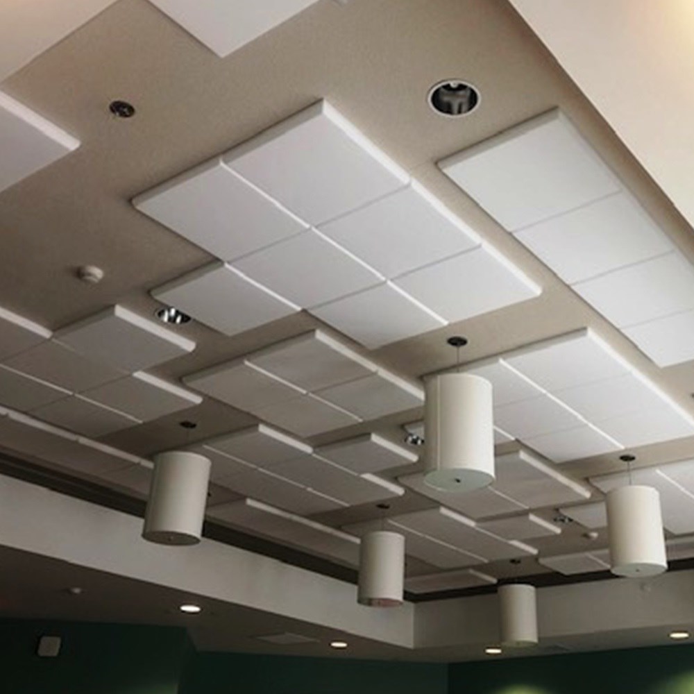 Acoustic Ceiling Panel